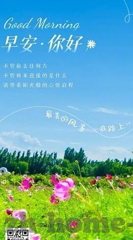 竞技足球比分-从比分看竞技足球，数字背后的热血与策略交响曲
